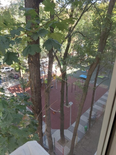 Giurgiului str Vigoniei